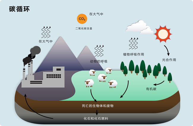 碳捕捉